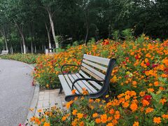 -永定河休闲森林公园