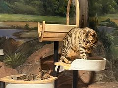 -绿色星球动物主题公园