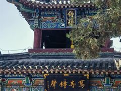 -洛阳白马寺
