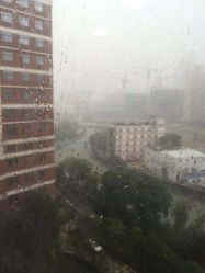 -复旦大学附属妇产科医院(杨浦院区)