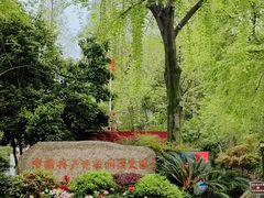 -西湖游船