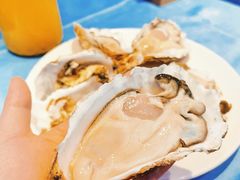 -千岛蚝高压锅生蚝·人参火锅(白云万达店)