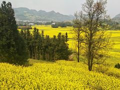-牛街螺丝田