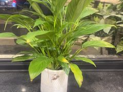 -章氏(广粤路店)