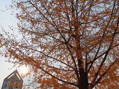 -西南交通大学(九里校区)