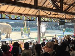-野象谷景区