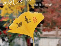 -古大圣慈寺