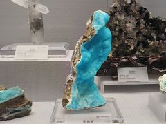 -湖南省地质博物馆