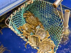 -阳澄湖大闸蟹·琼灵阁牌品牌连锁(吴中总店)