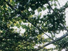 -伊隆斋(什刹海店)