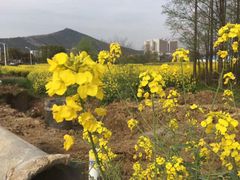-深业半汤御泉庄温泉
