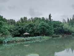 -上海滨江森林公园