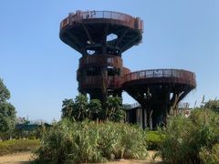 -芒洲湿地公园