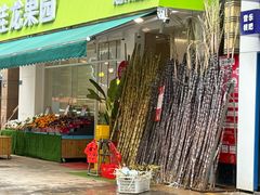 -桂龙果园(大朗中央公园店)