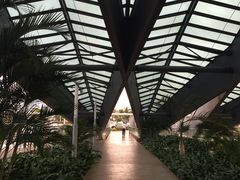 -西沃古尔·拉姆古兰爵士国际机场