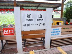 -红山村