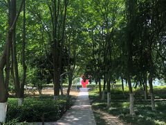 -天鹅湖体育公园