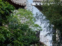 -罔极寺