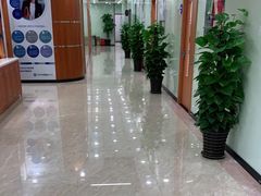 -茂菊口腔连锁(浦东南路店)