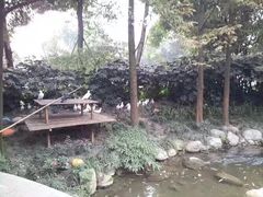 -温江公园