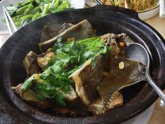 清蒸石斑鱼-鹏城人家海鲜酒家·23年老字号(较场尾店)