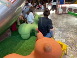 -卡通尼·Safari非洲探索乐园·生日会(金桥国际商业广场店)