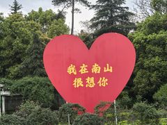 -南山植物园