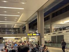 -上海浦东国际机场-T2航站楼