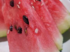 -鱼乐岛餐厅·户外花园主题餐厅