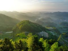-紫鹊界梯田景区