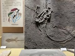 -广东省博物馆