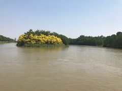 -大湾区中央湿地公园