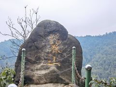 -南山植物园
