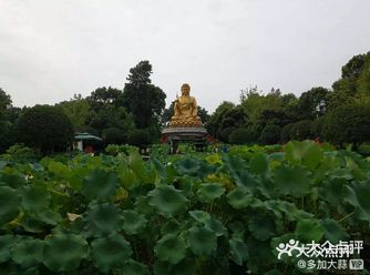 【攻略】重庆华岩寺旅游手册