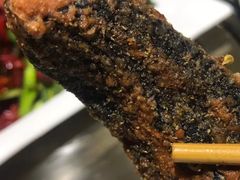 -金龙·打边炉(武进路店)