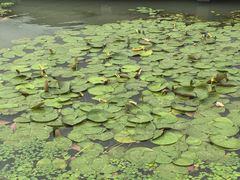 -水上明月·湖景餐厅