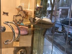 -e嘉宠物店(北大街店)