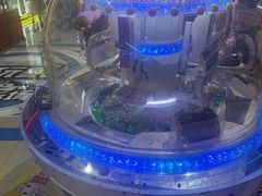 -大玩家(魏家庄万达店)