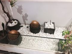 -莓超疯