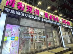 -青奢宠物·青奢猫舍