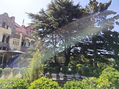-青岛德国总督楼旧址博物馆