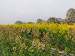 -中国天府农业博览园