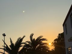 -碧海金沙