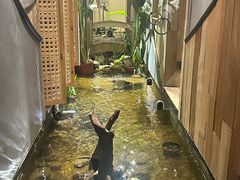 -邈墨茶馆(凤起路店)