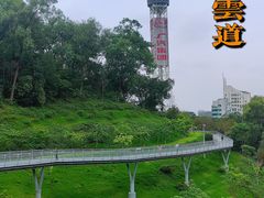 -广州雕塑公园