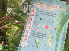 -广州长隆飞鸟乐园