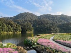 -广州市石门国家森林公园