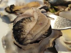 -Oyster Talks 四度蚝法餐厅