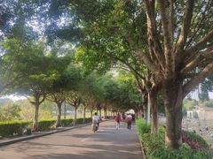 -风云岭森林公园