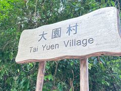 -南丫岛